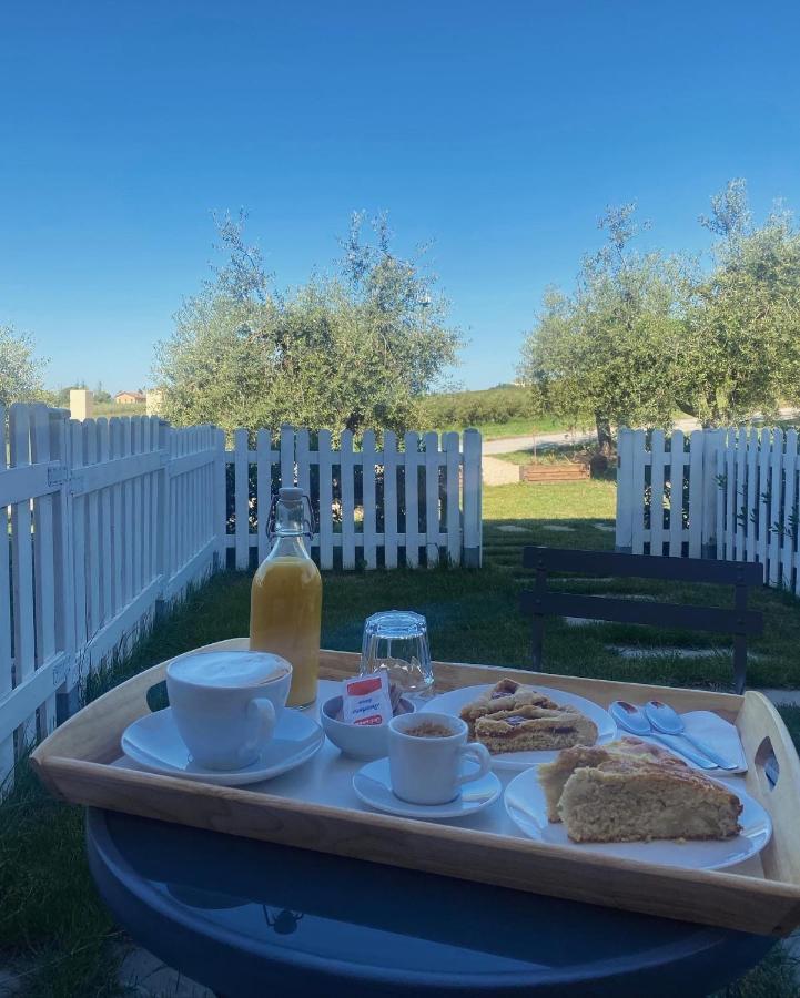 Olea B&B Montecosaro  Εξωτερικό φωτογραφία