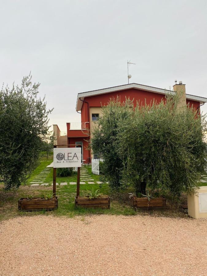 Olea B&B Montecosaro  Εξωτερικό φωτογραφία