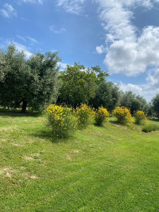 Olea B&B Montecosaro  Εξωτερικό φωτογραφία